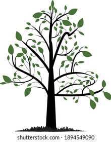 professional tree it is a vector file