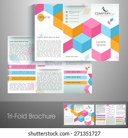 Professional trifold brochure, catalog and flyer template for business purpose.