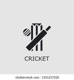Professional vector cricket icon. Cricket symbol that can be used for any platform and purpose. High quality cricket illustration.