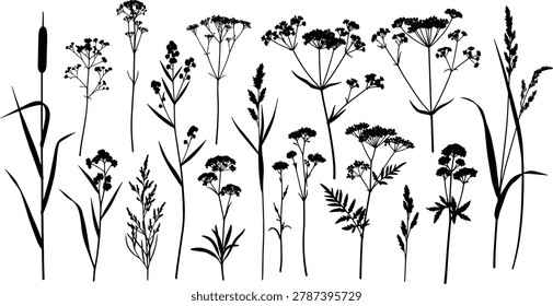 A professional vector graphic collection featuring detailed wild meadow flowers and field grass silhouettes isolated on a white background. This high-quality botanical set displays various countryside herbs, reeds, cattails, and delicate blossoms, making it an excellent design asset for rustic wedding cards, organic cosmetics packaging, nature-themed patterns, and eco-friendly branding.A professional vector graphic collection featuring detailed wild meadow flowers and field grass silhouettes isolated on a white background. This high-quality botanical set displays various countryside herbs, reeds, cattails, and delicate blossoms, making it an excellent design asset for rustic wedding cards, organic cosmetics packaging, nature-themed patterns, and eco-friendly branding.