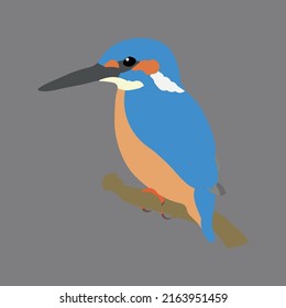 professional vector illustration design templete