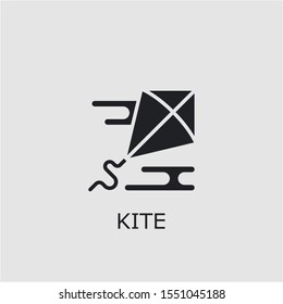 Professional vector kite icon. Kite symbol that can be used for any platform and purpose. High quality kite illustration.