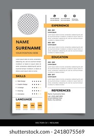 Professional Vector Resume CV Graphic template