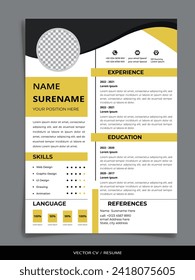 Plantilla gráfica de currículum profesional de reanudación de vectores