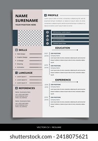 Professional Vector Resume CV Graphic template