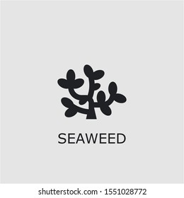 Professional vector seaweed icon. Seaweed symbol that can be used for any platform and purpose. High quality seaweed illustration.