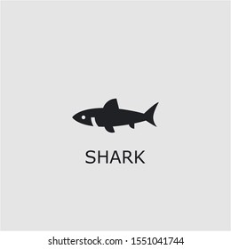 Professional vector shark icon. Shark symbol that can be used for any platform and purpose. High quality shark illustration.