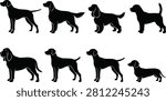 A professional vector silhouette collection featuring popular sporting and hound dog breeds in standing profile poses. Ideal for pet businesses, veterinary clinics, dog training, breeding, animal education, logos, and commercial design projects.
