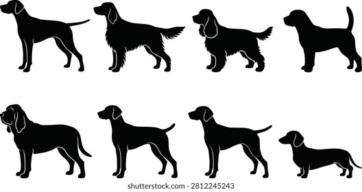 A professional vector silhouette collection featuring popular sporting and hound dog breeds in standing profile poses. Ideal for pet businesses, veterinary clinics, dog training, breeding, animal education, logos, and commercial design projects.