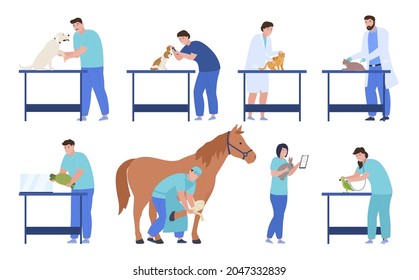 Professional veterinarians set vector flat illustration. Collection of man and woman doctors examining domestic and exotic animals at clinic isolated. Veterinary occupation cat, dog, horse, turtle