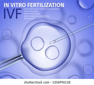 Professional In Vitro Fertilisation Process. Womans Egg Fertilised in Lab. Microscopic Research, Ovum with Needle. Reproductive System, IVF. Vector Realistic Illustration. Medical Banner, Copy Space.