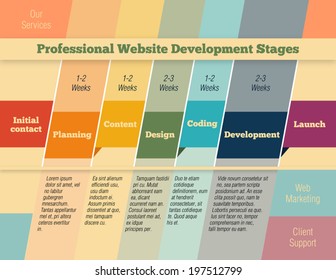 Professional website design and development stages infographic