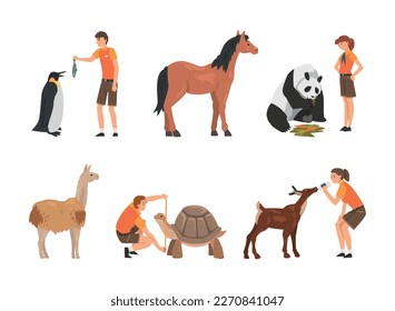 Professional zoo workers caring of animals in zoo set. Veterinarian in feeding and curing alpaca, panda, horse, penguin, turtle, fawn cartoon vector illustration