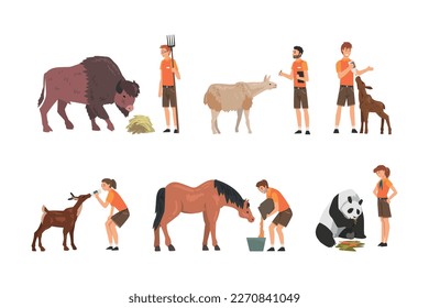 Professional zoo workers caring of animals in zoo set. Veterinarian in feeding and curing buffalo, alpaca, panda, horse cartoon vector illustratio