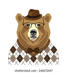 professor bear, vector illustration