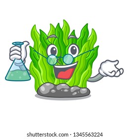 Professor Green Seaweed Isolated With The Character