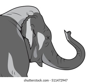 the profile of the African elephant