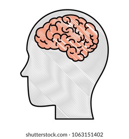 profile with brain human organ icon