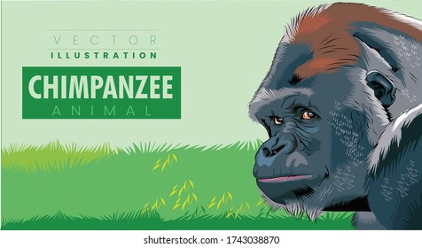 チンパンジー のイラスト素材 画像 ベクター画像 Shutterstock