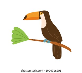 Profile of cute toucan or tucan sitting on tree branch. Funny tropical bird with long yellow beak. Exotic animal character. Colored flat cartoon vector illustration isolated on white background