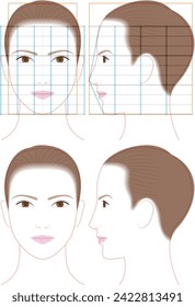 Profile and front face of a beautiful woman. illustration of face proportions