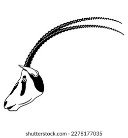 Profile head of Oryx antelope with big long horns. Scimitar oryx. Oryx dammah. African animal. Black and white silhouette. Isolated vector illustration.