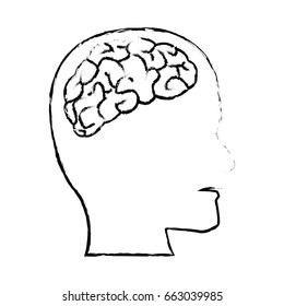 profile human head with brain anatomy