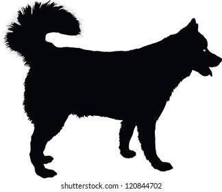 A Profile Of A  Husky Dog In Black Silhouette.