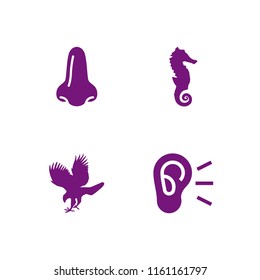 profile icon. 4 profile set with hawk, ear, big nose and seahorse vector icons for web and mobile app