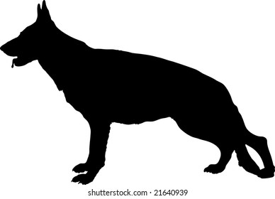 Profile of large German Shepherd dog, vector