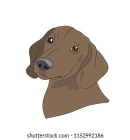 profile portrait of a dog, dachshund, look down, vector, white background