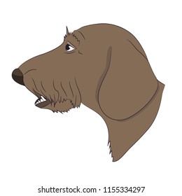 profile portrait of a dog, dachshund, look down, vector, white background