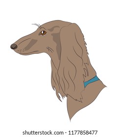 profile portrait of a dog, look down vector, white background