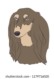 profile portrait of a dog, look down, vector, white background