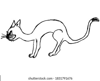 Profile Of Skinny Cat. Pet Motive. Vector, Sketch Illustration In Children Style. Can Be Used In Printing And Coloring Book