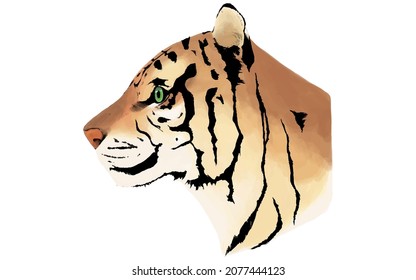 Profile of a tiger, hand-painted realistic touch.