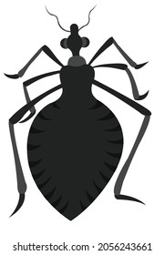 Profile of a vector insect