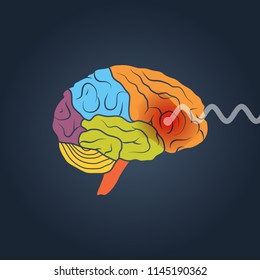 Profile view of a human brain. Brain activity vector concept
