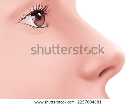 Profile view Human Nose and brown eye with eyelashes on the face realistic Illustration for medicine, makeup. Isolated on white background. Skin care. Rhinoplasty example. Body part for biology.