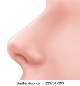 Profile view Human Nose on the face realistic Illustration for medicine, Isolated on white background Design Vector. Rhinoplasty example. Body part for biology.