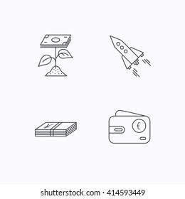 Profit investment, cash money and startup rocket icons. Euro wallet linear sign. Flat linear icons on white background. Vector