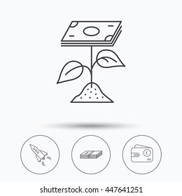 Profit investment, cash money and startup rocket icons. Euro wallet linear sign. Linear icons in circle buttons. Flat web symbols. Vector