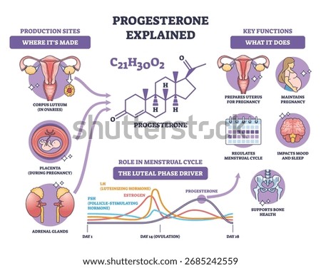 Progesterone brief diagram showing the hormones role in menstrual cycle and pregnancy, key objects, molecule, uterus, cycle chart. Outline diagram