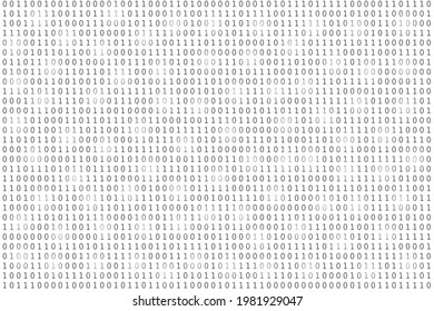 Program datum background. Programming binary coding. Matrix vector illustration