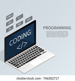 programmer coding binary computer isometric flat vector