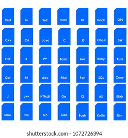 Programming languages format icon. vector icon. flat style