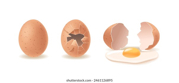 Progressive Stages Of An Egg From Intact To Cracked, And Fully Opened Revealing The Yolk Spilled Out Realistic 3d Vector