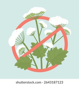 Sinal de proibição da planta perigosa Hogweed. Hogweed pode causar danos significativos à saúde da pele. Espessuras de algas são perigosas para o equilíbrio ecológico. Ilustração de vetor plano.