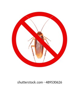 Prohibition sign on a cockroach - Vector