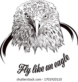 Project designed to make a t-shirt, eagle character in vector, done in illustrator.